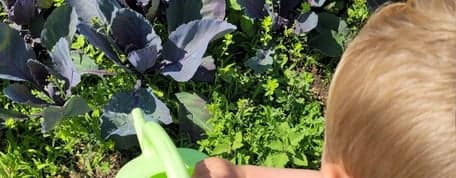 BSO De Troonkamer foto 7