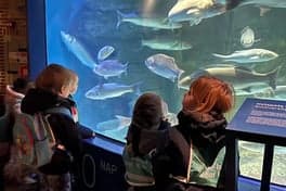 De Vliegende Vissen foto 10