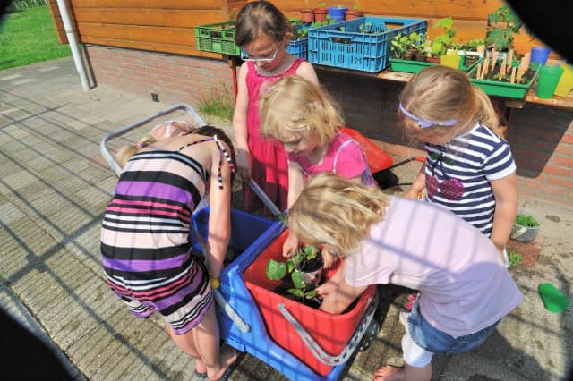 De Kleine Jungle foto 6