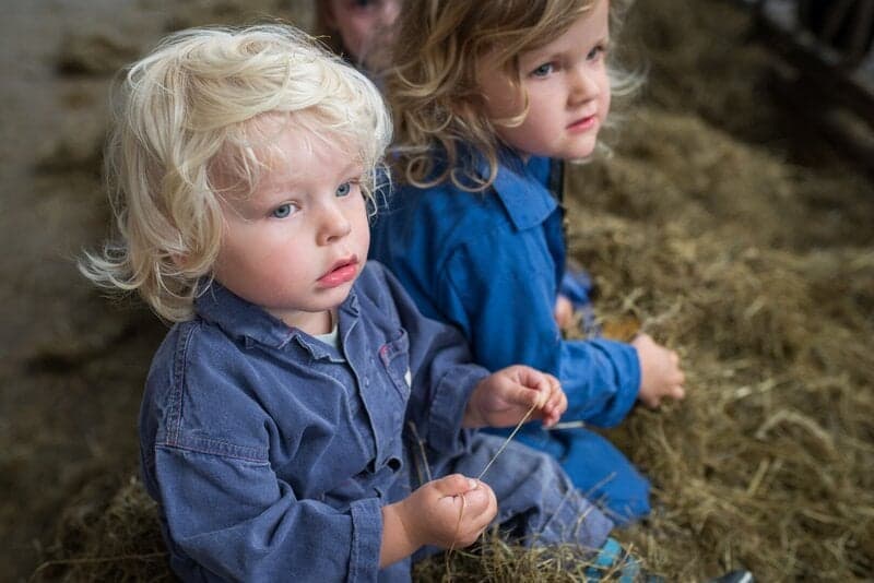 Ti-ta Tovenaar bv foto 6