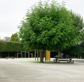 PO 't Hummelke foto 9