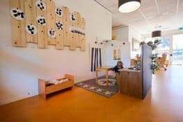 Doomijn KDV Vuurvlinder 3