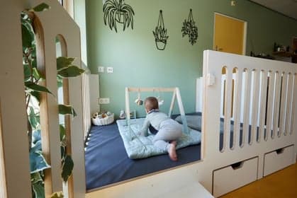 Doomijn KDV Vuurvlinder foto 5