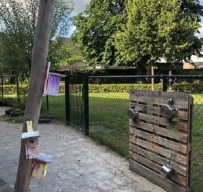 KC Zonnebloem foto 6