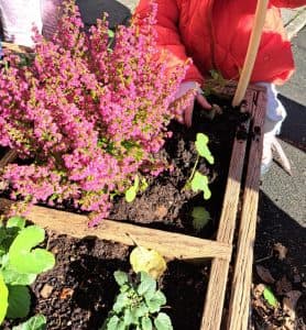 Stichting Peuterspeelzaal de Eenhoorn foto 7