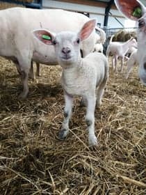 Kinderopvang De Vlindertuin foto 7