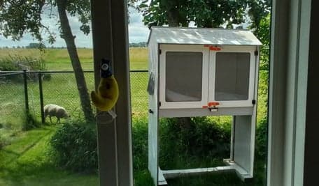 Kinderopvang De Vlindertuin foto 8