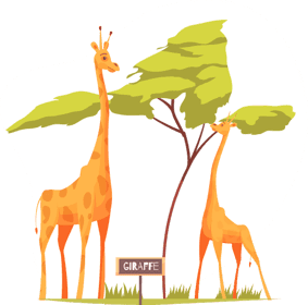 Mijn Diamantje B.V. foto 7