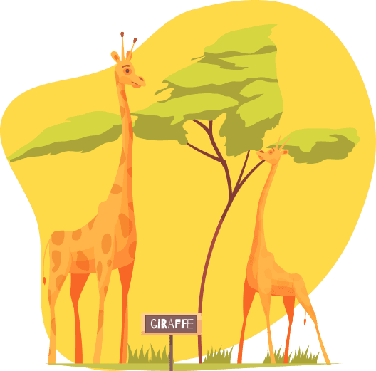 Mijn Diamantje B.V. foto 9