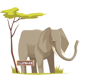 Mijn Diamantje B.V. foto 10