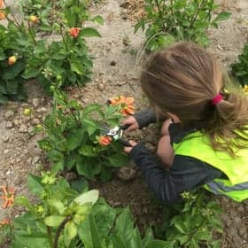 Buitenschoolse opvang Luna foto 10