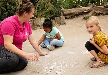 BSO 't Groene eiland foto 4