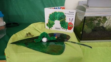 De Ukkenburcht foto 6