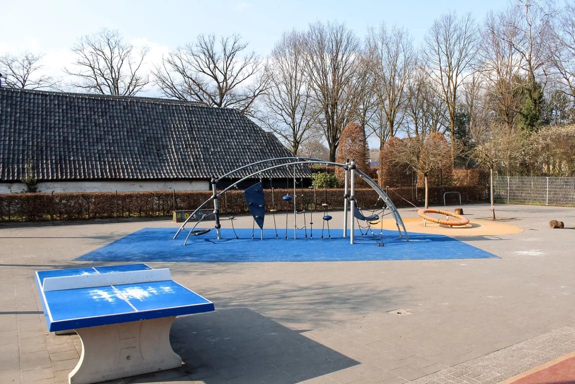 BSO De Leeuwenkooi 2