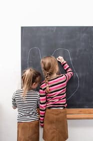 BSO De Leeuwenkooi foto 5