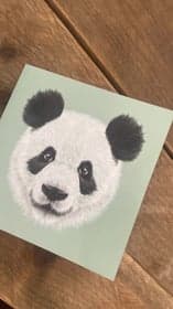 Kinderopvang Happy Panda Parkwijk B.V. 3