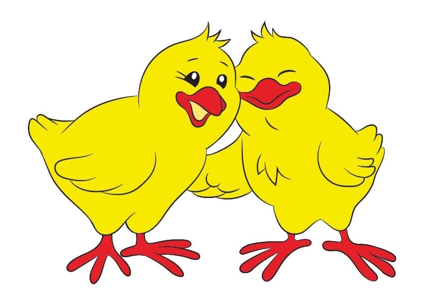 Kinderopvang De Lytse Pykjes 3