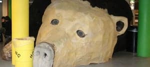 Peuteropvang Beertje foto 7