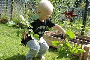 Groen Kinderdagverblijf foto 4