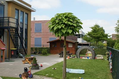 Groen Kinderdagverblijf foto 5