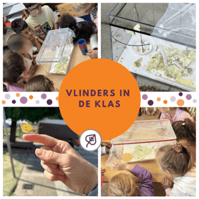 BSO Regenboog Volkerakweg foto 10