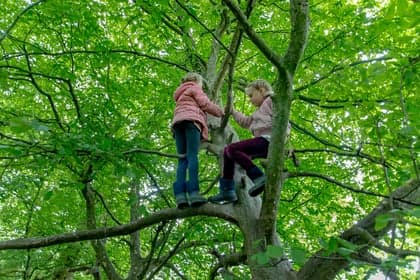 NSO Robinson (in scoutinggebouw Helix) foto 7