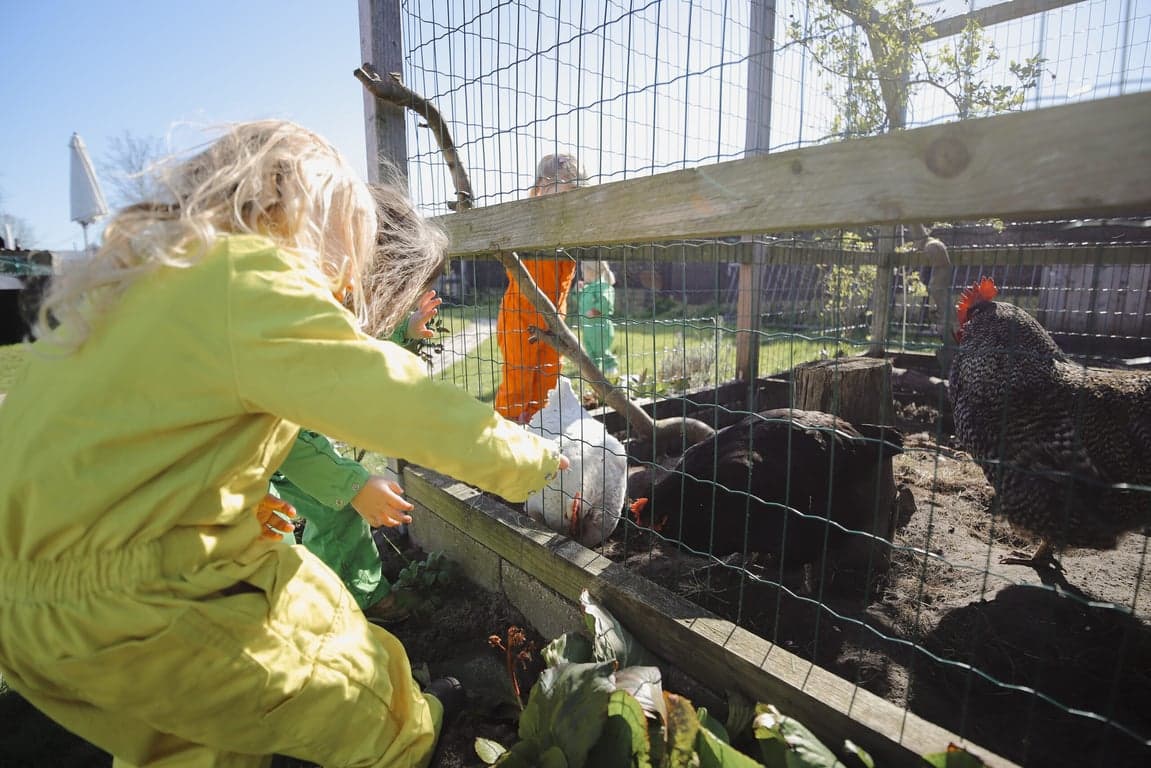 Kinderopvang Het Kuikentje foto 4