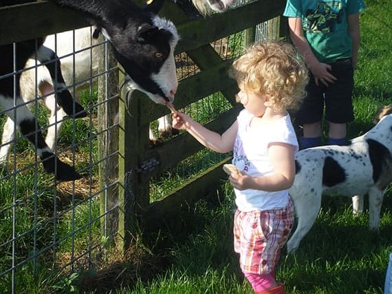 Kinderdagverblijf Veld-Zicht 3