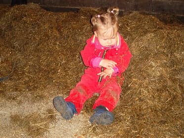 Kinderdagverblijf Veld-Zicht foto 4