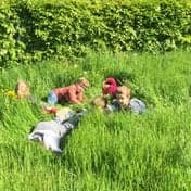 Buba Mara KDV foto 5