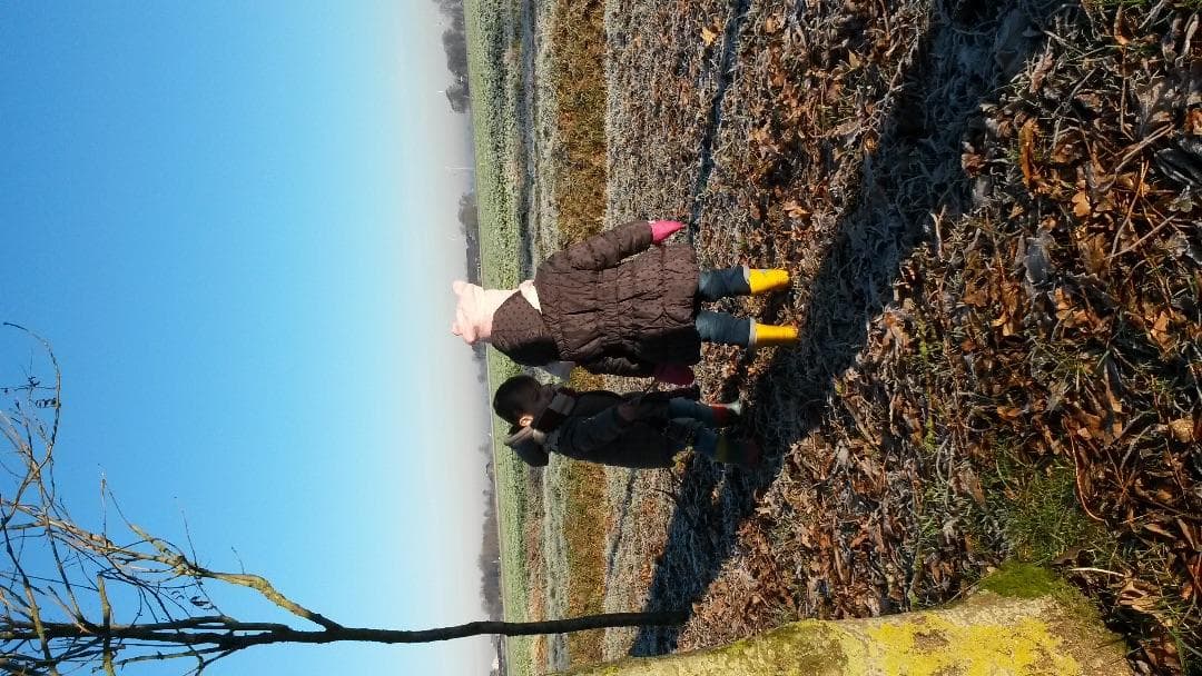 Kinderdagverblijf MamiNet foto 8