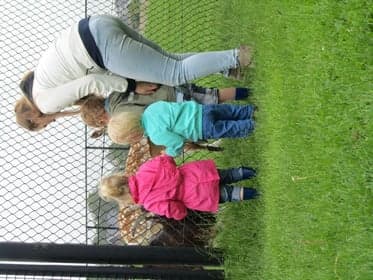 Kinderdagverblijf MamiNet foto 9