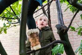 Donkey Kinderdagverblijf en BSO B.V. foto 4