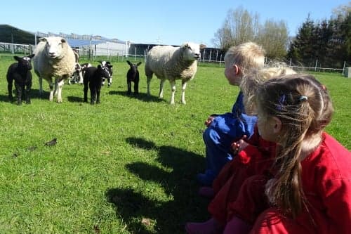 Boerderijopvang foto 5