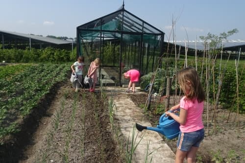 Boerderijopvang foto 6