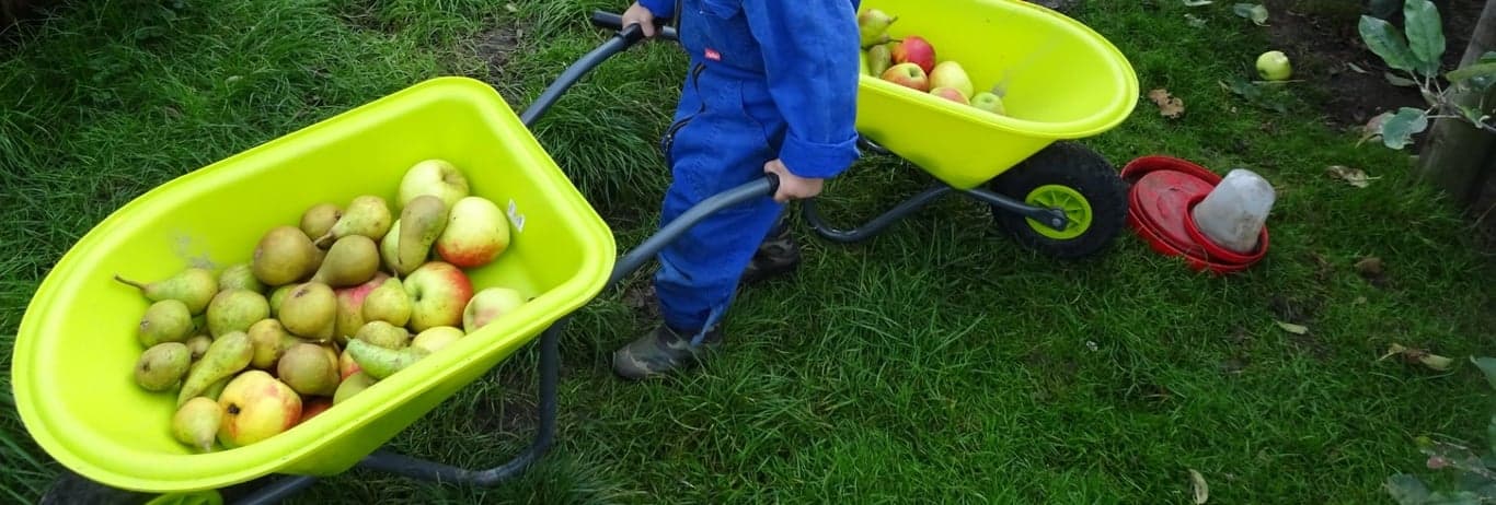 Boerderijopvang foto 8