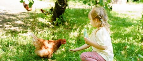 Boerderijopvang foto 10