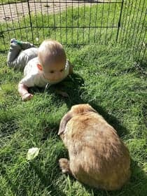 Kinderopvang de Hiept foto 4