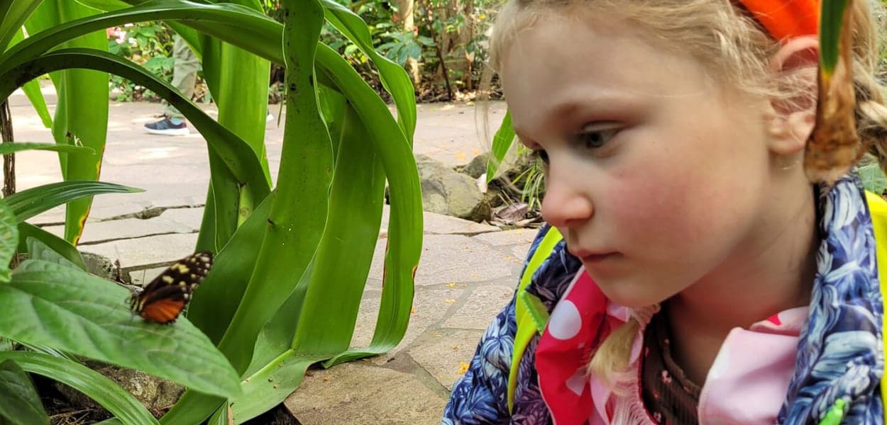 BSO Hobbithoeve MatchZo 2