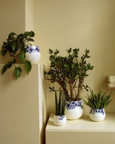 BSO De Bloesem foto 6