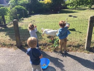 BSO Glimmen IKC Quintus foto 5