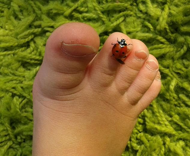 Kinderopvang Windekind foto 7