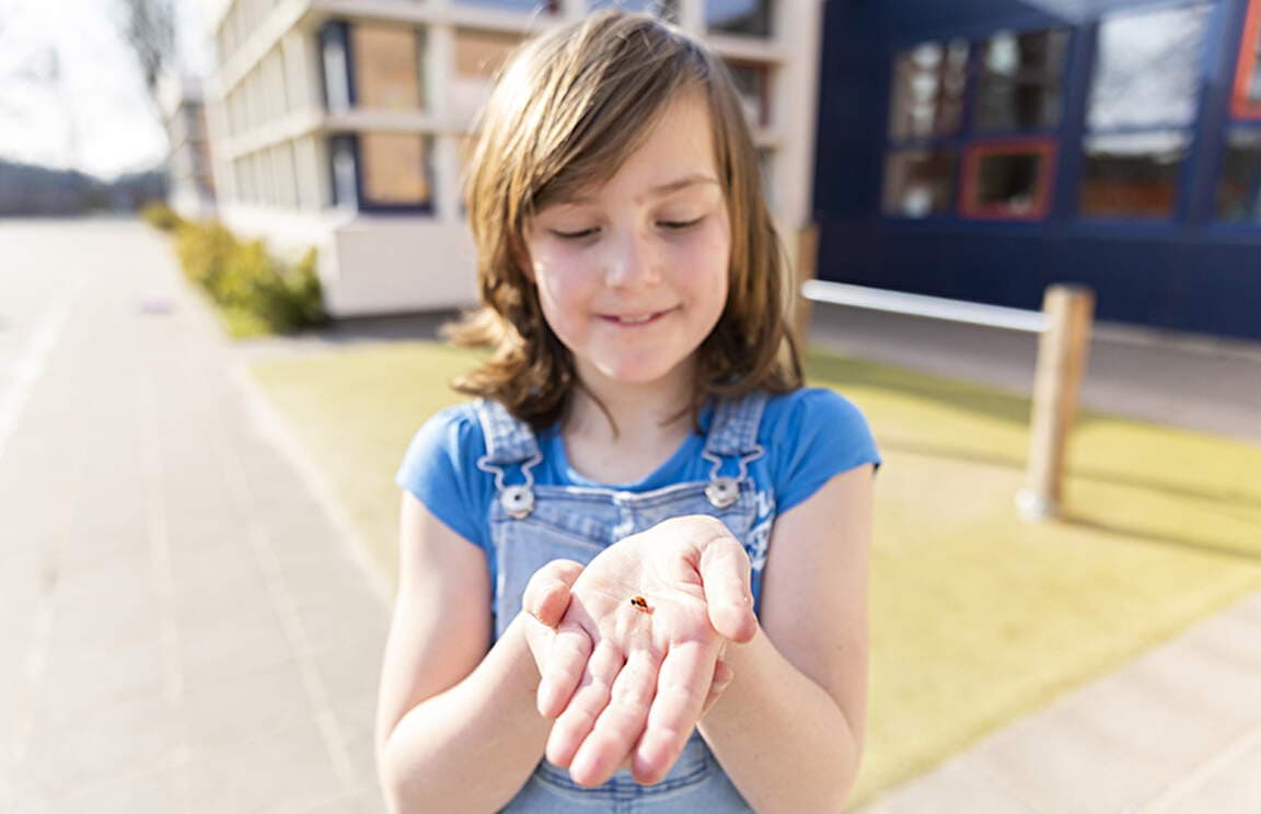 BSO De Dommelclub foto 7