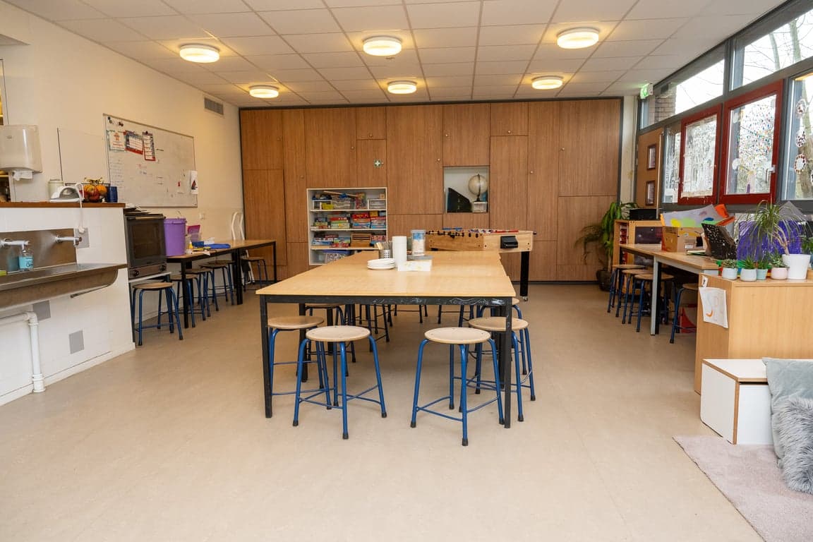 2Spelende Beren foto 4