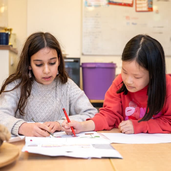 2Spelende Beren foto 5