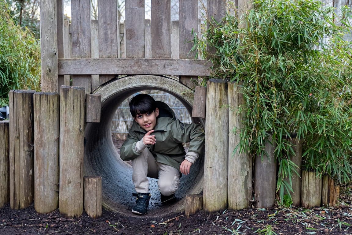 2Spelende Beren foto 6