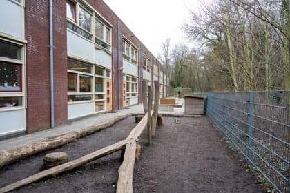 2Spelende Beren foto 10