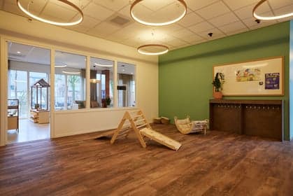 Kinderdagverblijf de Wegwijzer foto 5