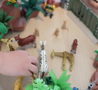 Het Vlinderveld foto 10