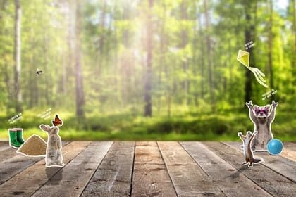 Peutertuin Beegden foto 10